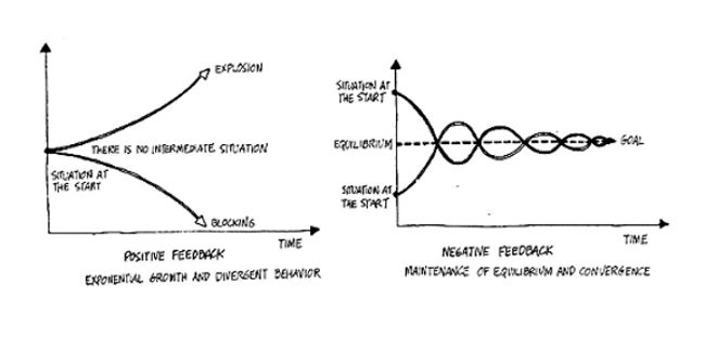 positive negative feedback loops