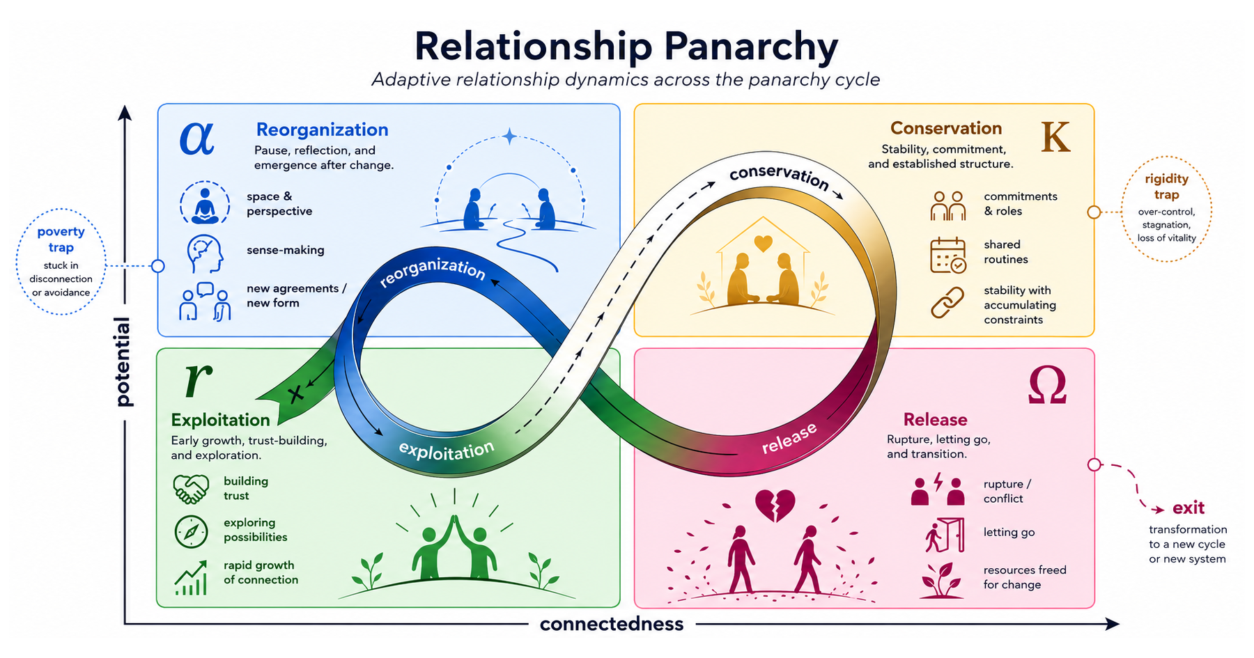 Relationship panarchy loop with phase labels